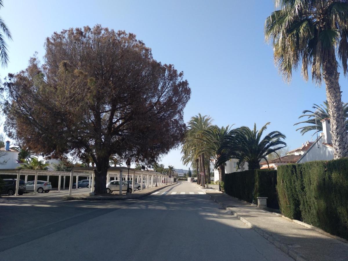 Rey-piscina Apartament Dénia