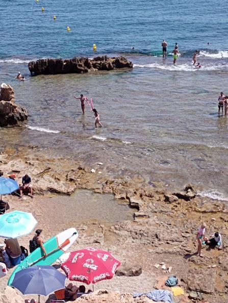 Rey-piscina Apartament Dénia
